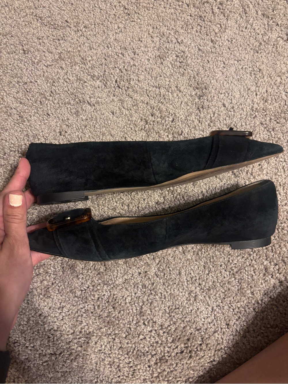 Sam Edelman Black Suede Pointed Toe Flats with Tortoiseshell Buckle - Picture 4 of 5